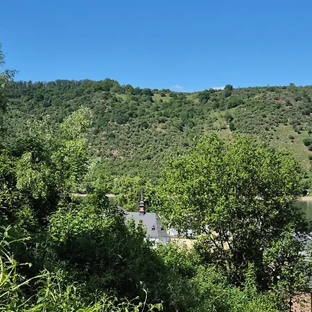 公寓 Rhein-wald Exklusives Mit Rheinblick