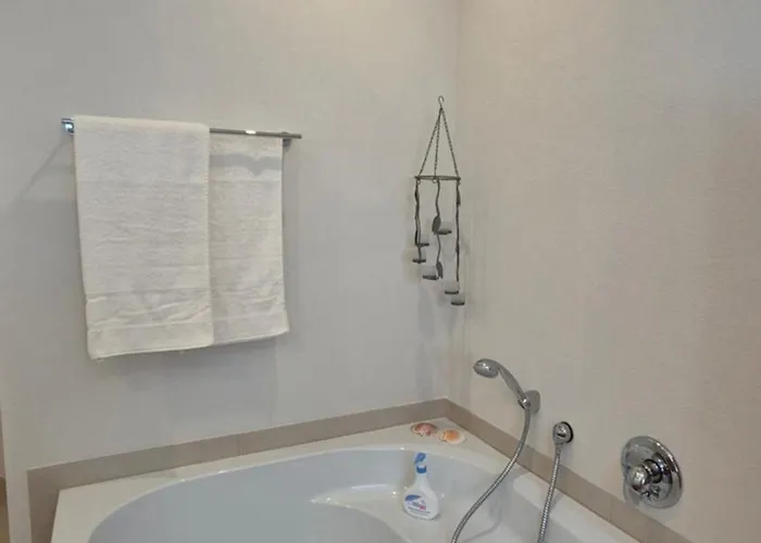 Apartment Rhein-wald Exklusives Mit Rheinblick *