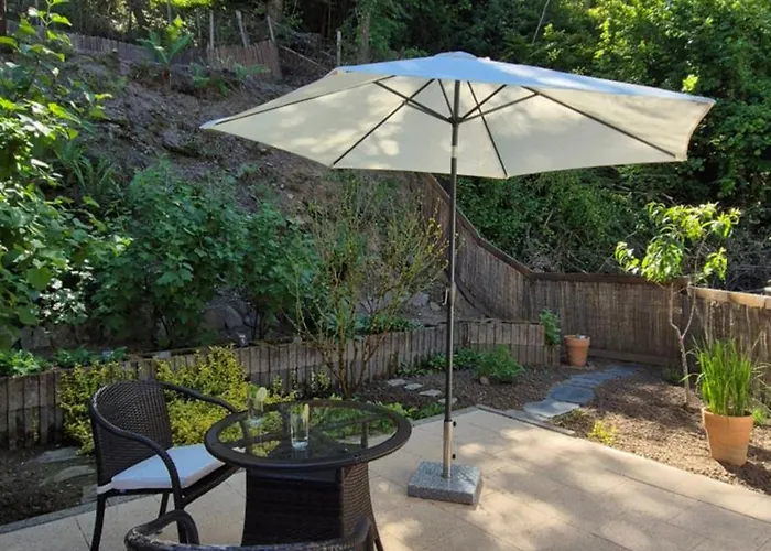 Rhein-wald Exklusives Mit Rheinblick Boppard