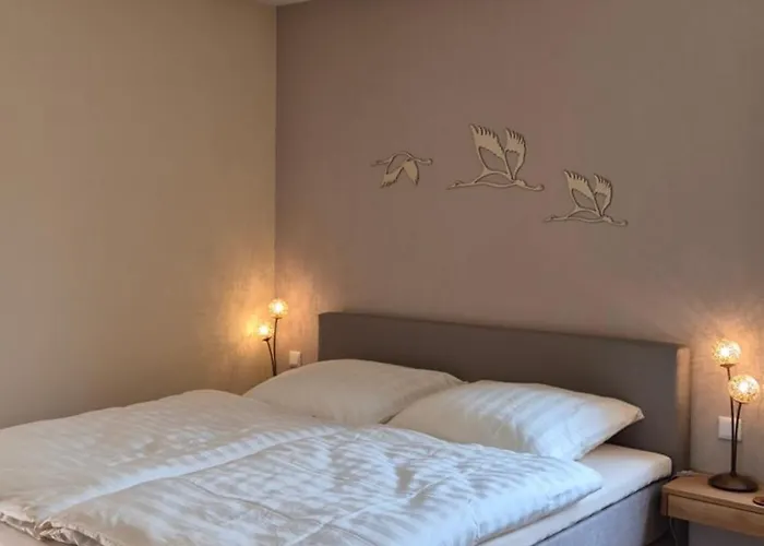 Rhein-wald Exklusives Mit Rheinblick * Boppard