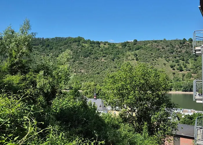 Apartment Rhein-wald Exklusives Mit Rheinblick