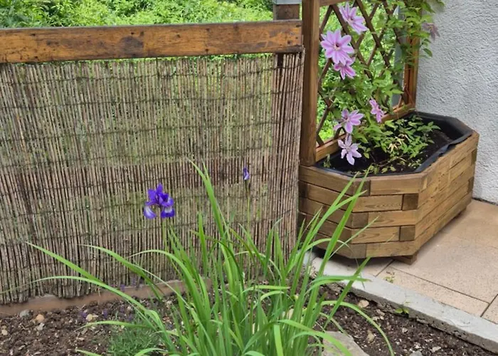 Rhein-wald Exklusives Mit Rheinblick Apartment *