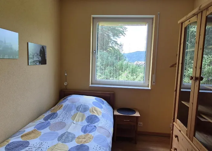 Rhein-wald Exklusives Mit Rheinblick Apartment